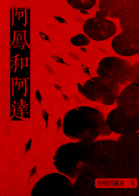阿凤和阿达